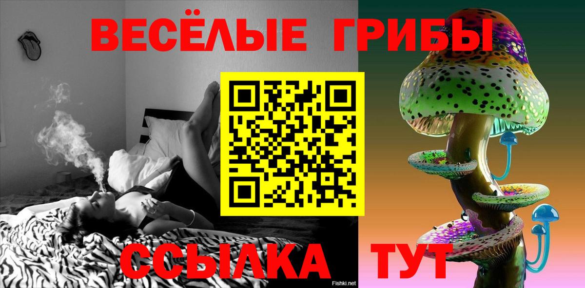 Псилоцибиновые грибы ЛСД  Вход с VPN  Елец 